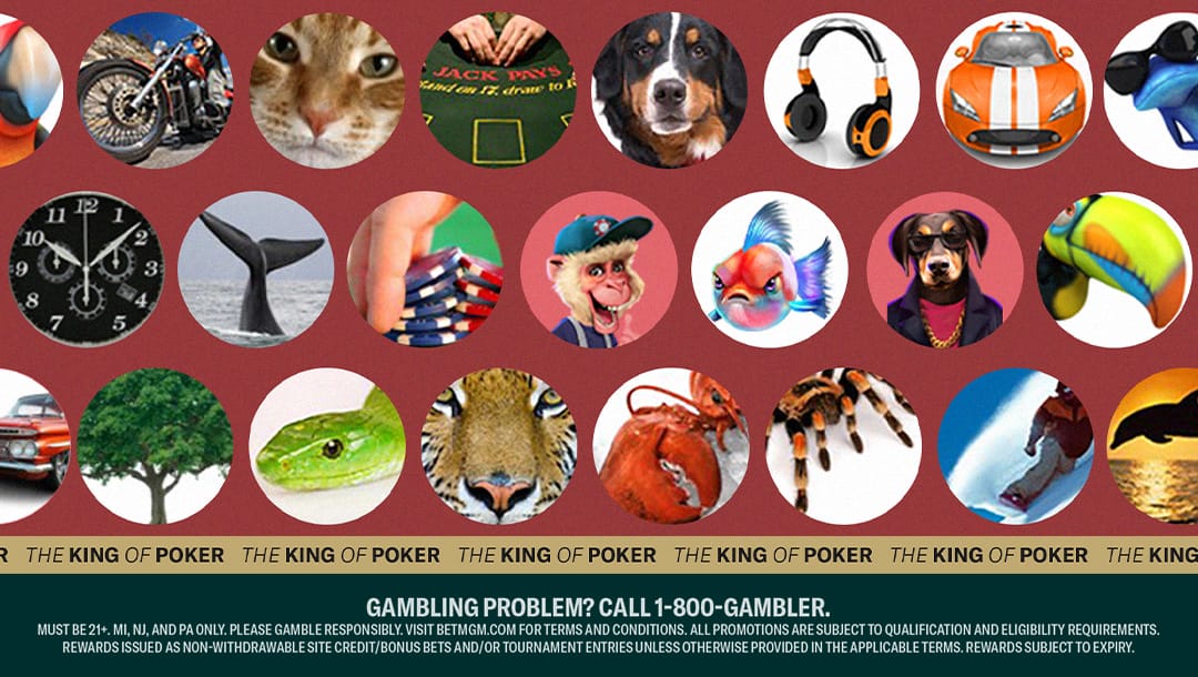 A poker avatar is the picture or photo used to represent a player’s online poker account.